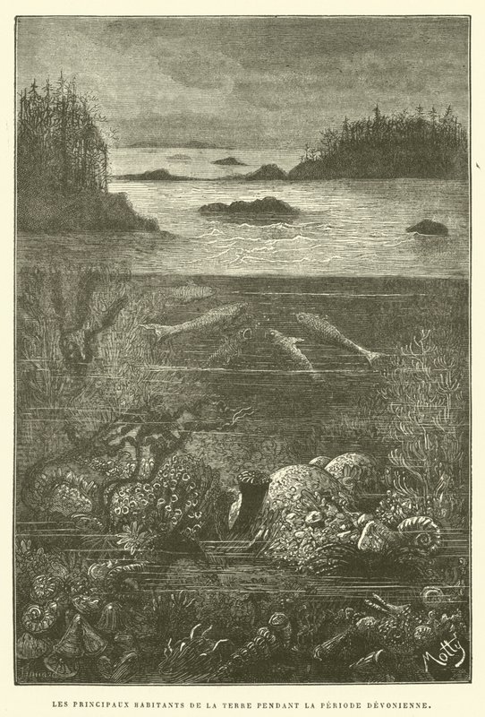 Les principaux habitants de la terre pendant la période dévonienne - French School