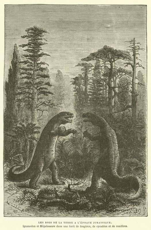 Les rois de la terre à l