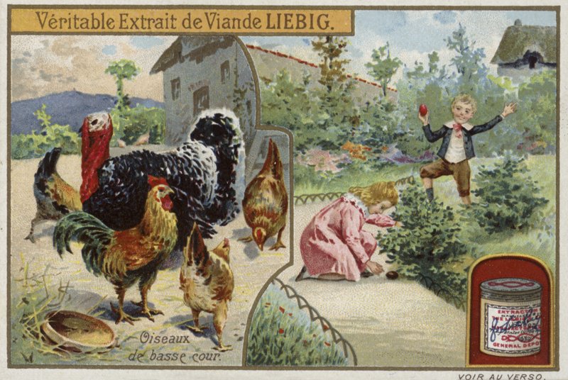 Carte Liebig représentant de la volaille - French School