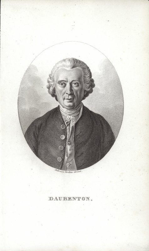 Louis-Jean-Marie Daubenton - French School