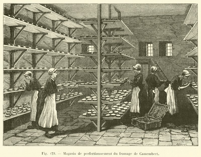 Magasin de perfectionnement du fromage de Camembert - French School