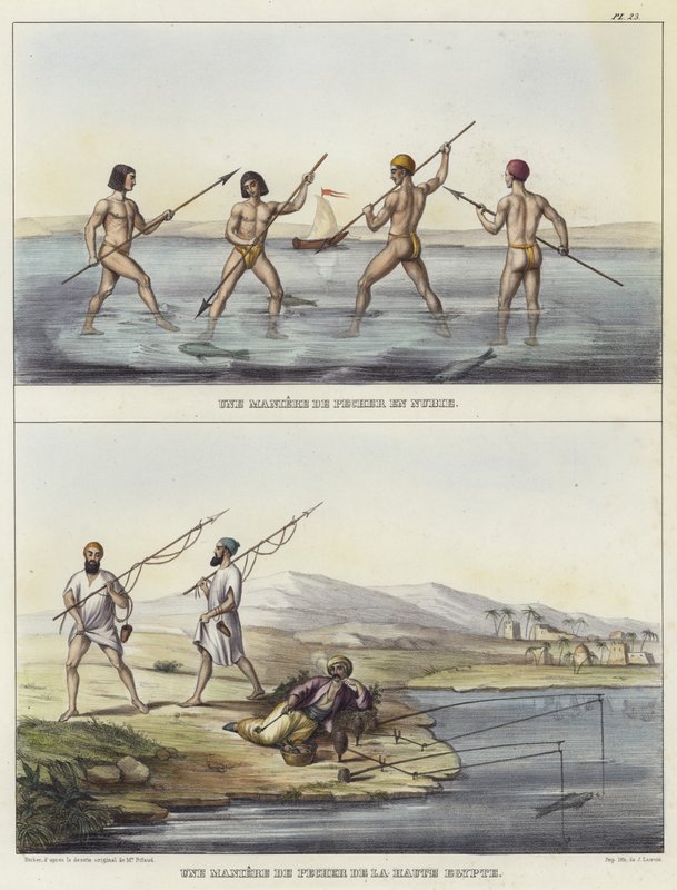 Méthodes de pêche en Nubie et en Égypte - French School