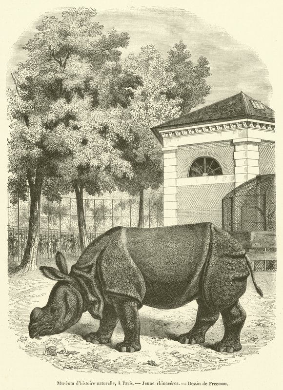 Muséum d