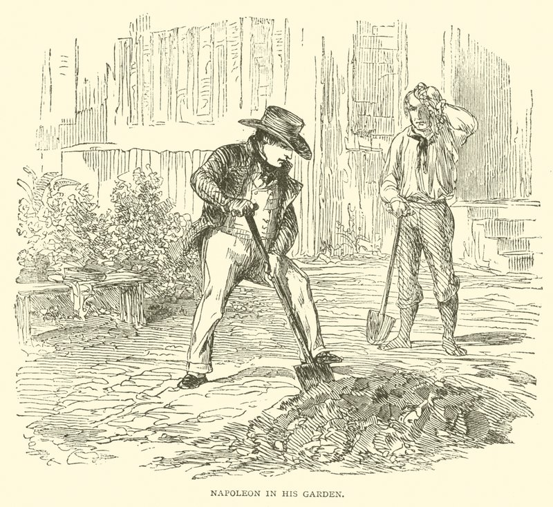 Napoléon dans son jardin - French School