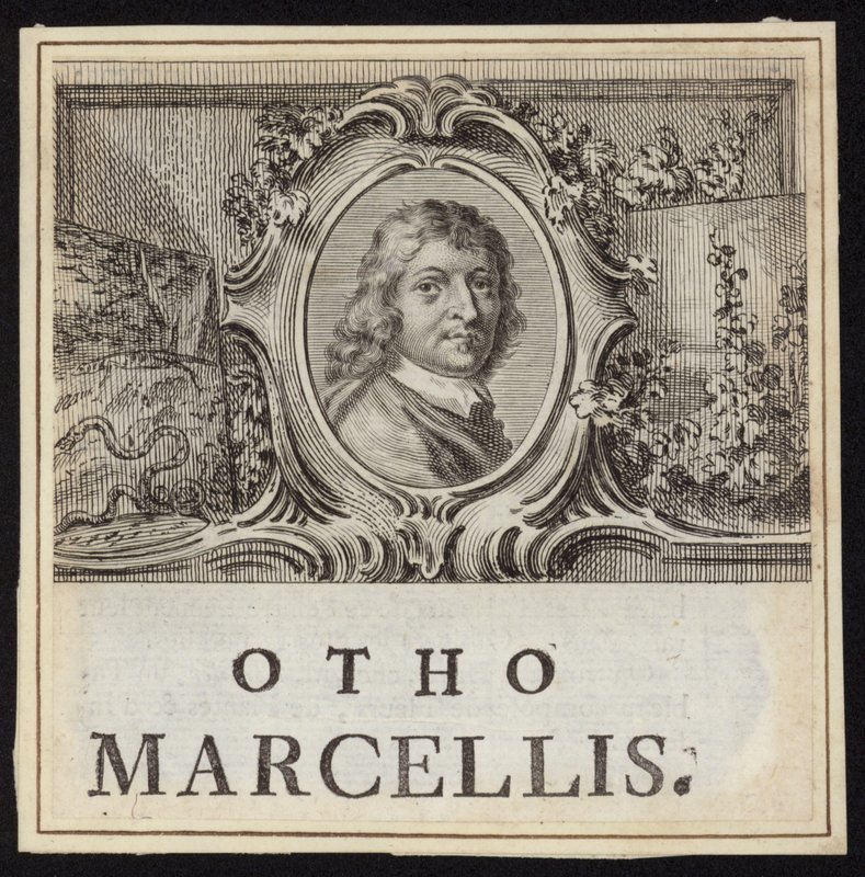 Otto Marseus van Schrieck - French School