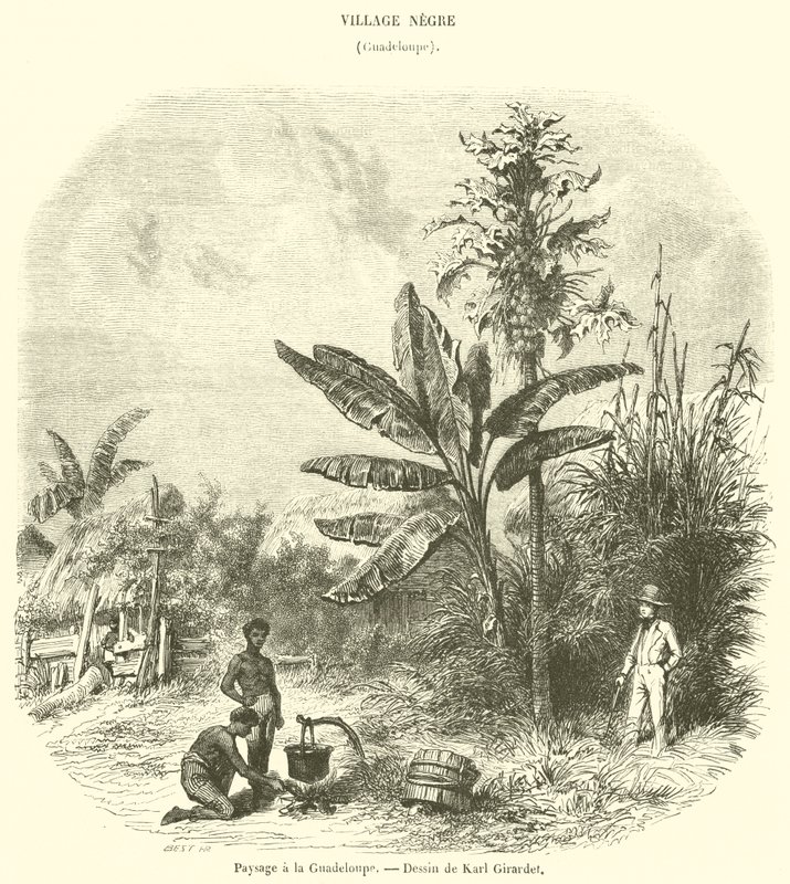 Paysage à la Guadeloupe - French School