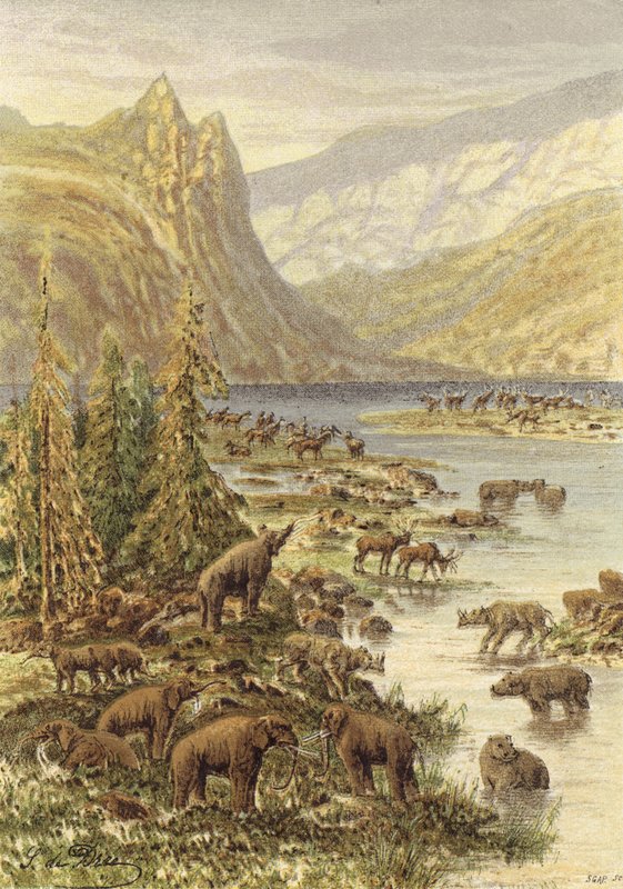 Paysage d