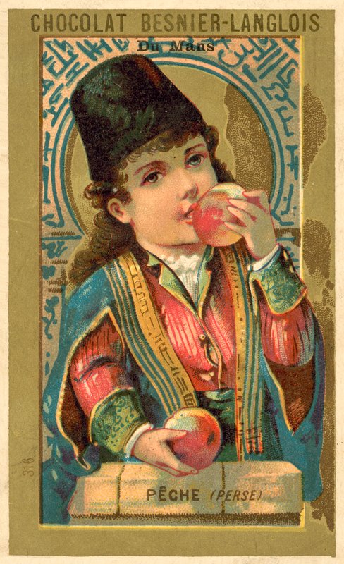 Pêches de Perse - French School