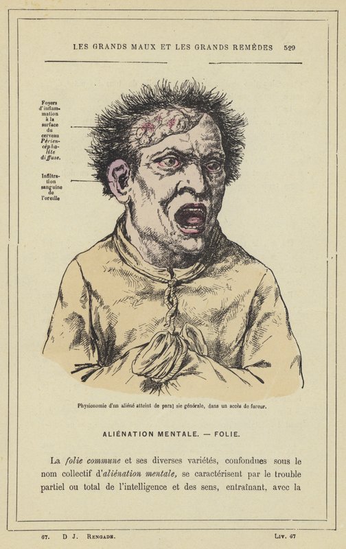 Physionomie d