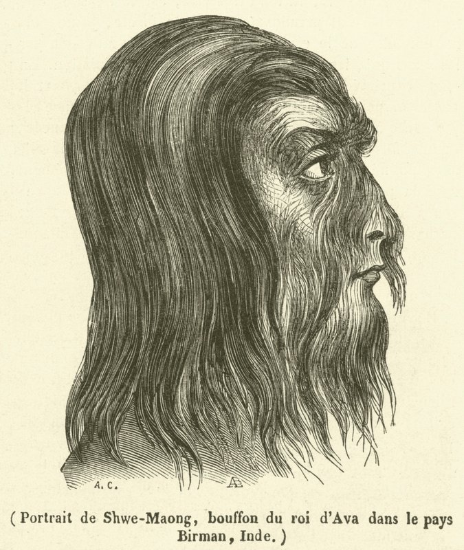 Portrait de Shwe-Maong, bouffon du roi d