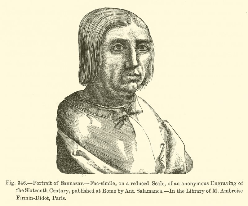 Portrait de Sannazar (gravure) - French School