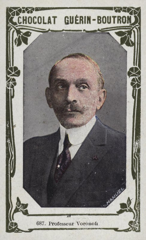 Professeur Voronoff - French School