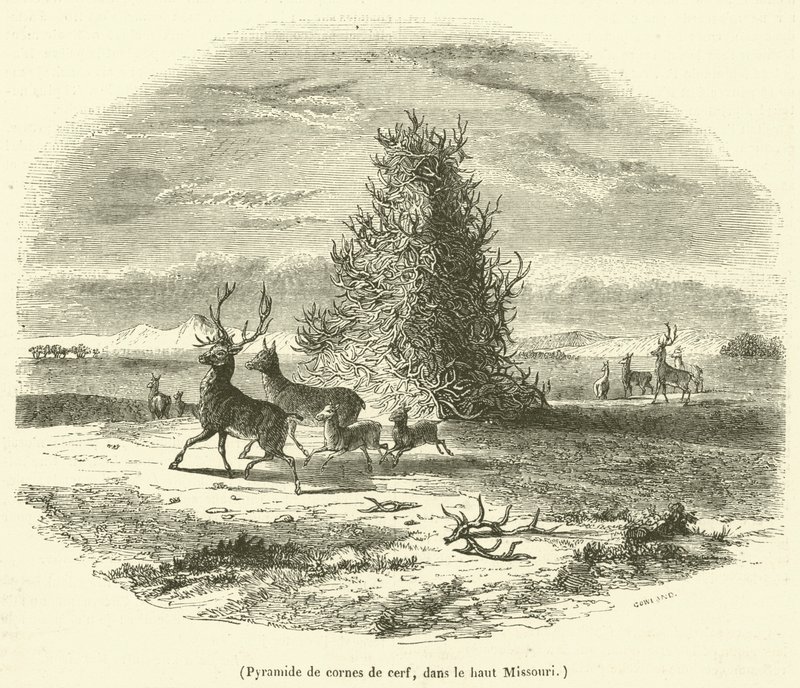 Pyramide de cornes de cerf, dans le haut Missouri (engraving) - French School