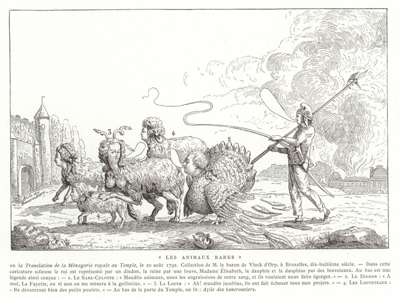 Animaux rares - French School