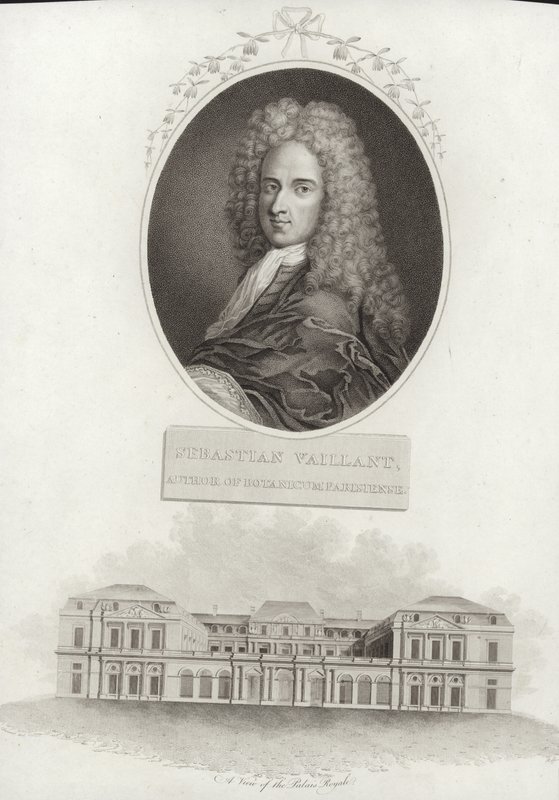 Sébastien Vaillant - French School
