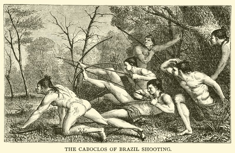 Les Caboclos du Brésil tirant - French School