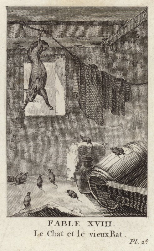 Le chat et le vieux rat - French School