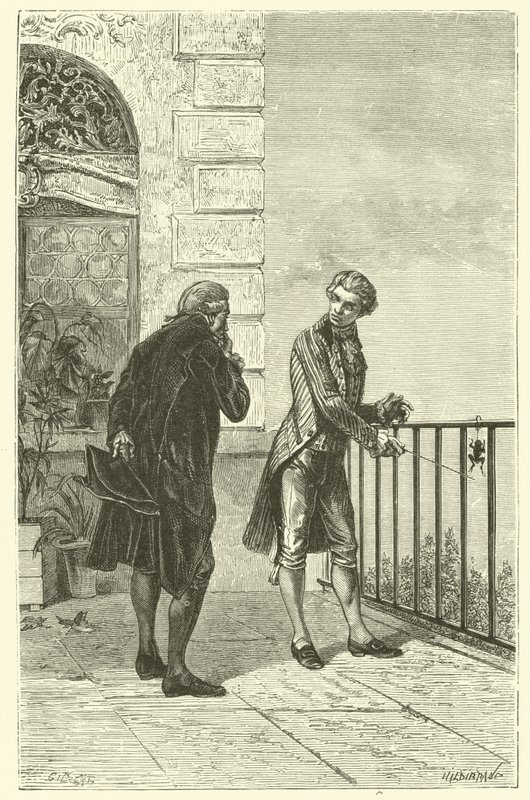 La grenouille de Galvani - French School