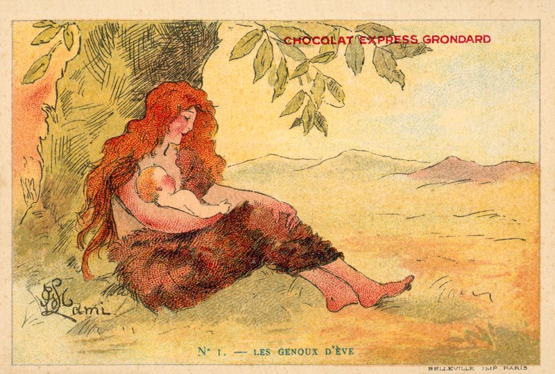 Les genoux d