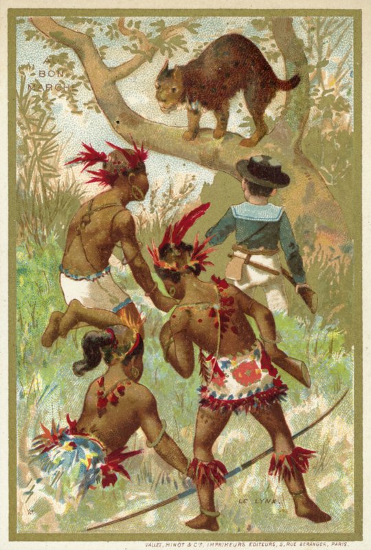 Le lynx - French School