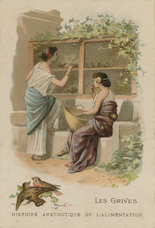 Les grives - French School
