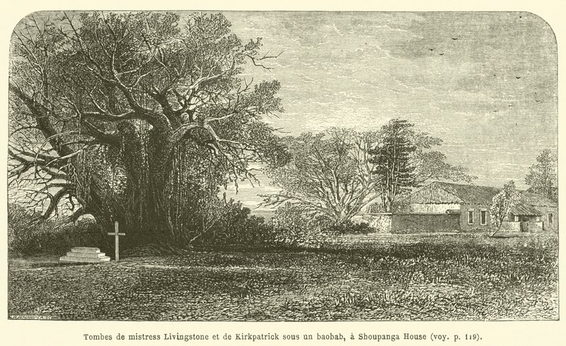 Tombes de mistress Livingstone et de Kirkpatrick sous un baobab, à Shoupanga House - French School