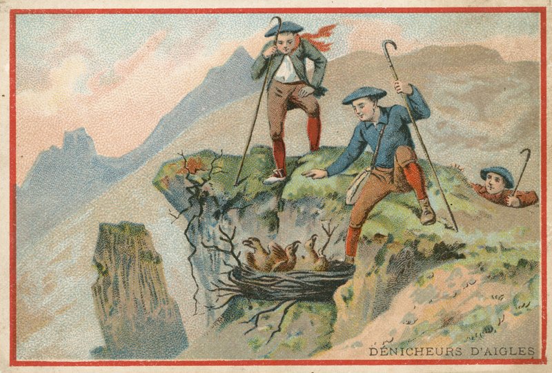 Carte de commerce avec une image d
