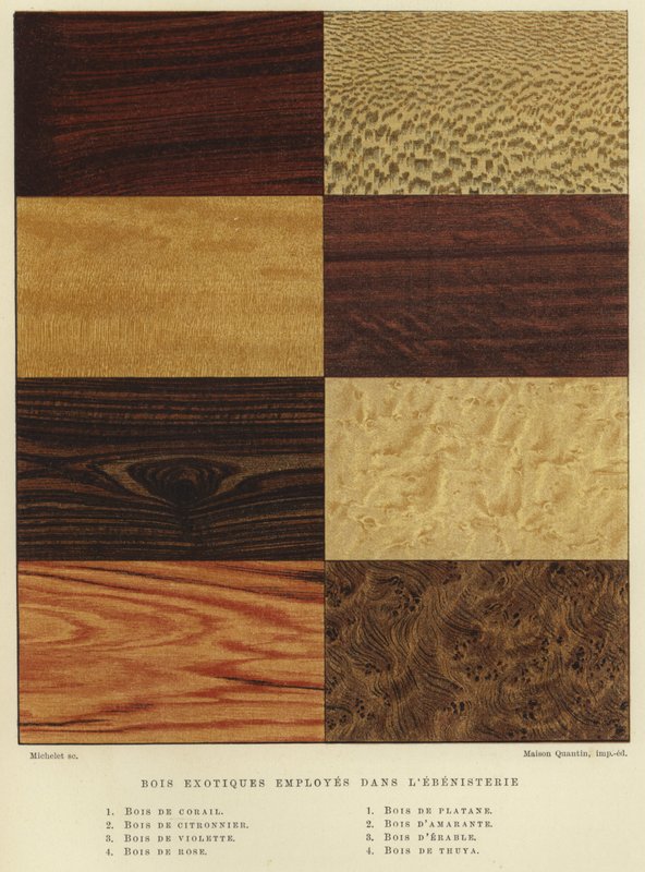Types de bois exotiques utilisés en ébénisterie - French School