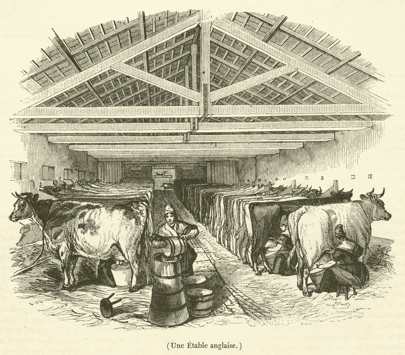Une Etable anglaise (engraving) - French School