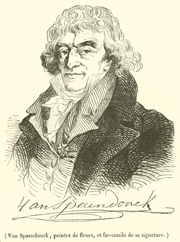 Van Spaendonck, peintre de fleurs, et fac-similé de sa signature - French School