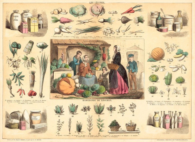 Légumes - French School