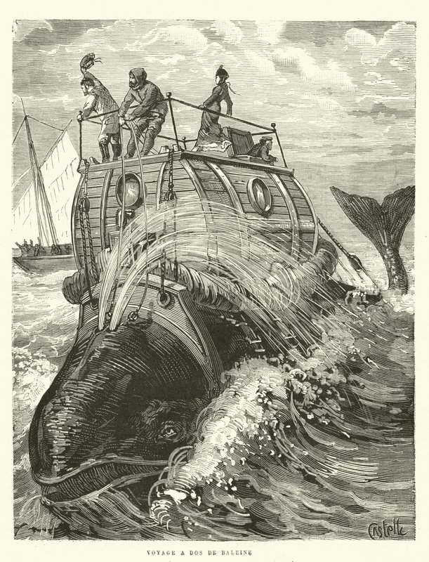 Voyage a Dos de Baleine (engraving) - French School