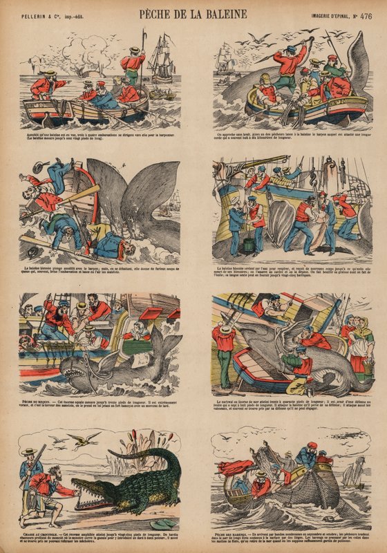 Chasse à la baleine - French School