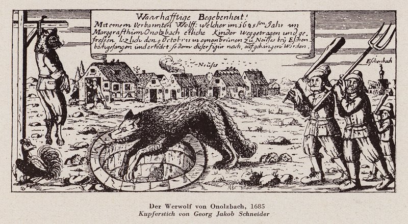 Le loup d