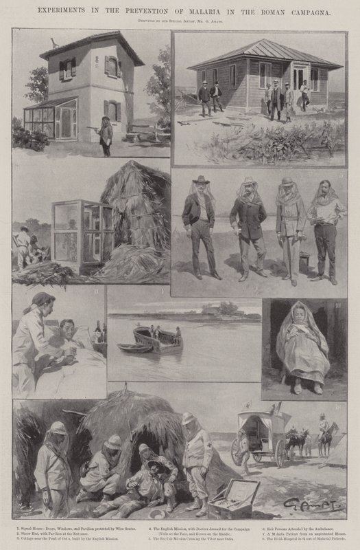 Expériences dans la prévention du paludisme dans la campagne romaine - G.S. Amato