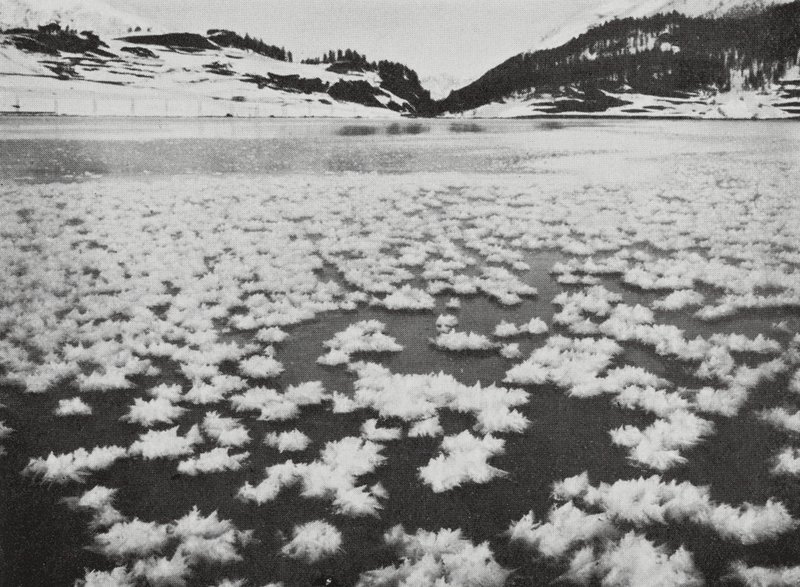 Suisse - Geoffrey Roland Balance