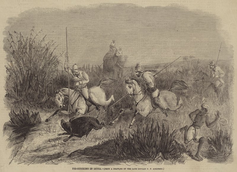 Chasse au sanglier en Inde - George Francklin Atkinson