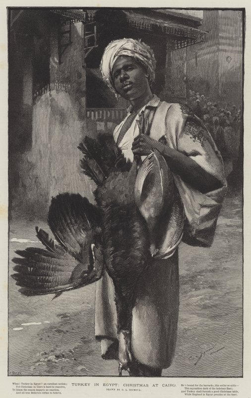 La Turquie en Égypte, Noël au Caire - George L. Seymour