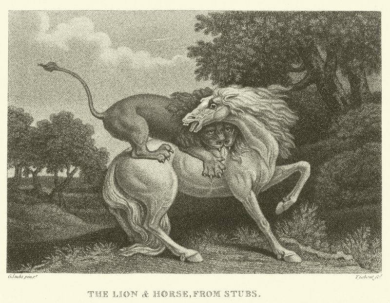 Le Lion et le Cheval, de Stubs - George (after) Stubbs
