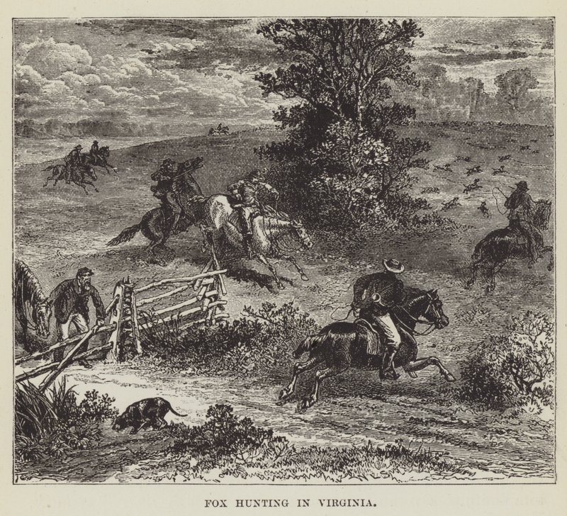Chasse au renard en Virginie - George Augustus Sala