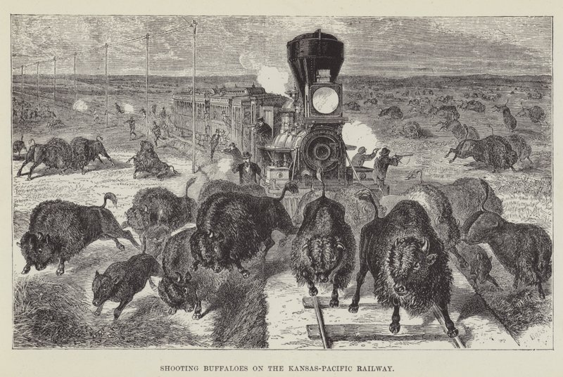 Chasse aux buffles sur le chemin de fer Kansas-Pacific - George Augustus Sala