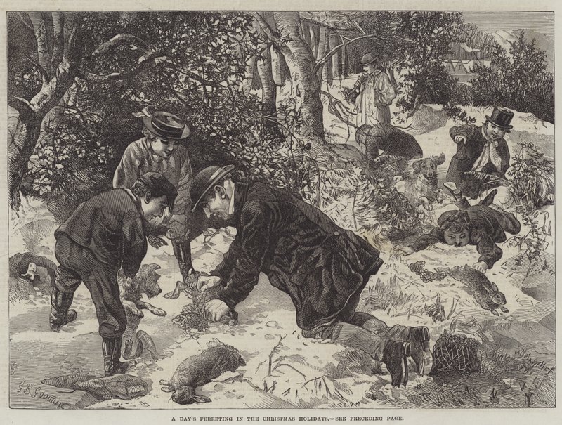 Une journée de furetage pendant les vacances de Noël - George Bouverie Goddard
