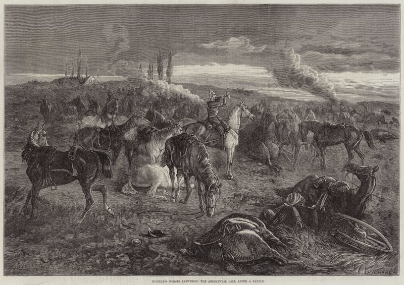 Chevaux sans cavalier répondant à l