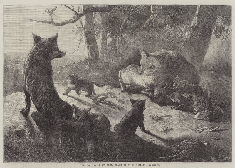 La famille de renards à la maison - George Bouverie Goddard