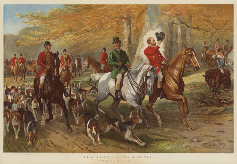 Les chiens de chasse royaux, SAR le Prince de Galles et Lord Cork - George Bouverie Goddard