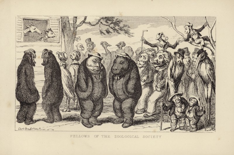 Membres de la Société zoologique - George Cruikshank