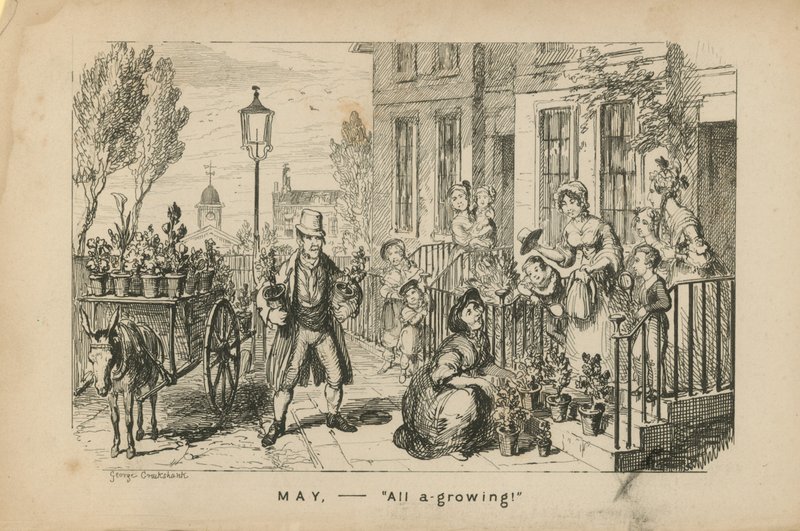 Mai - tout en croissance - George Cruikshank