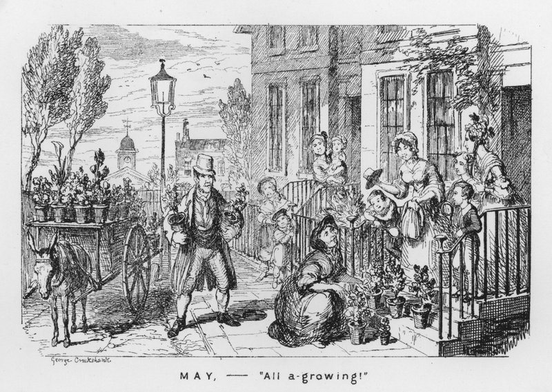 Mai, tout pousse (gravure) - George Cruikshank