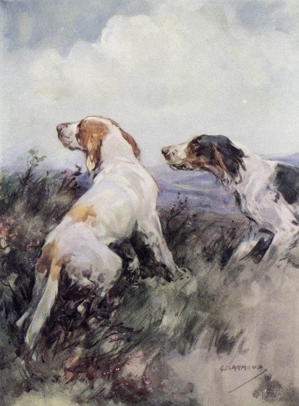 Setters - George Denholm Armour
