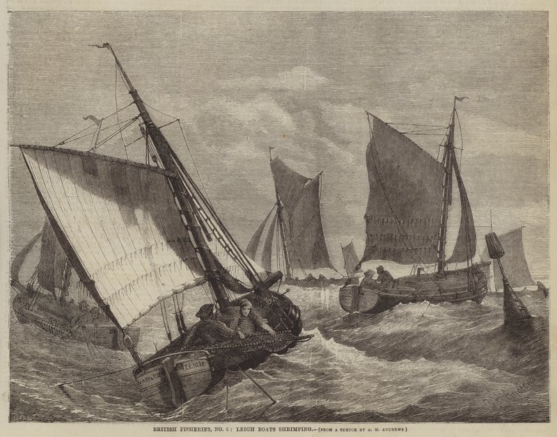 Pêcheries britanniques, n° 6, bateaux de Leigh pêchant des crevettes - George Henry Andrews